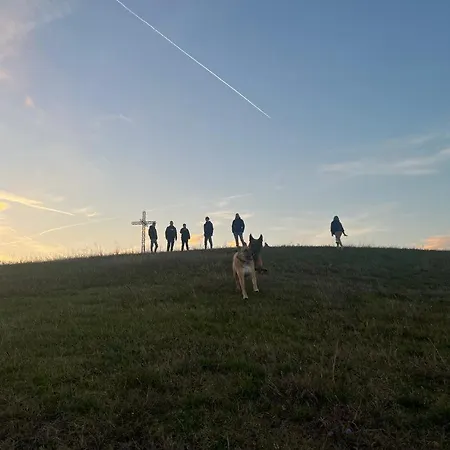 شاليه Casa Dell'uliveto *