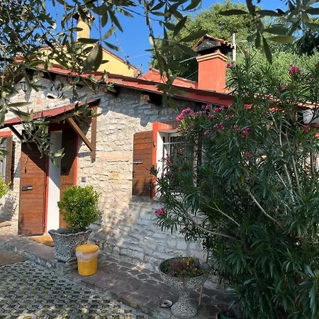 Casa Dell'uliveto Albettone