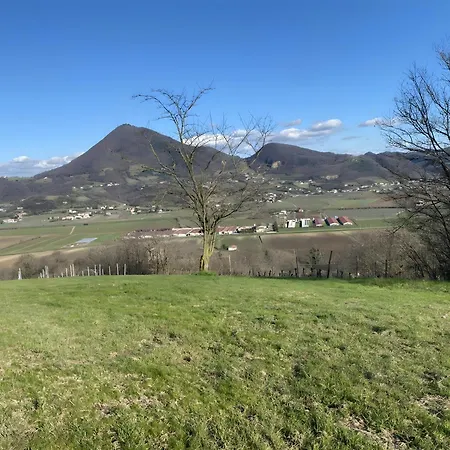 Casa Dell'uliveto * Albettone