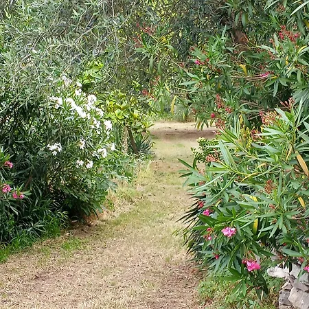 Casa Dell'uliveto Dağ evi