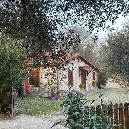 Dağ evi Casa Dell'uliveto *