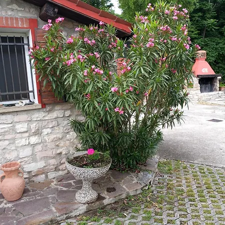 Casa Dell'uliveto