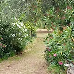 Chalet Casa Dell'uliveto Albettone