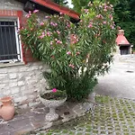 Casa Dell'uliveto * Albettone