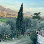 Casa Dell'uliveto * Albettone