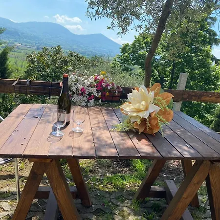 Casa Dell'uliveto
