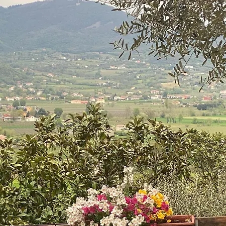 Casa Dell'uliveto * Albettone