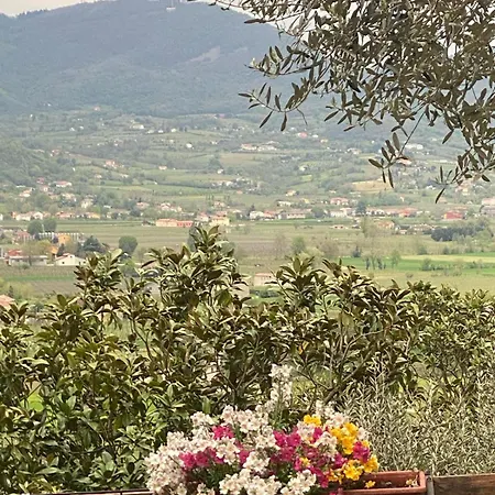 Casa Dell'uliveto