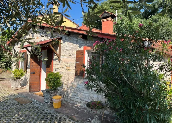Casa Dell'uliveto Albettone